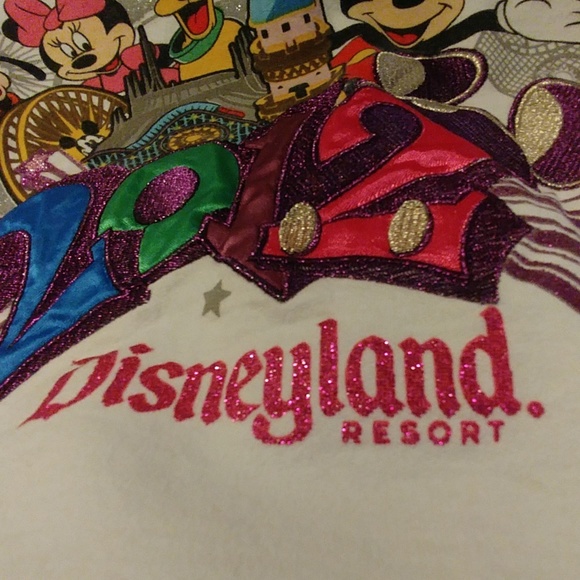 Disneyland resort 2012 hoodie size small - Picture 6 of 6
